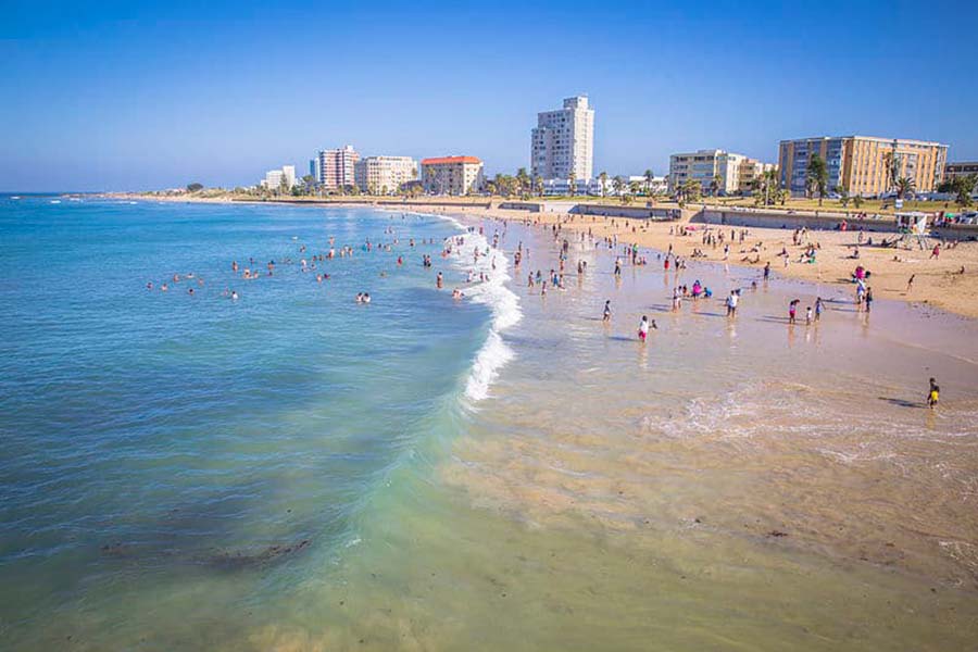 Featured Post Image - The Top Things To Do In Port Elizabeth, South Africa